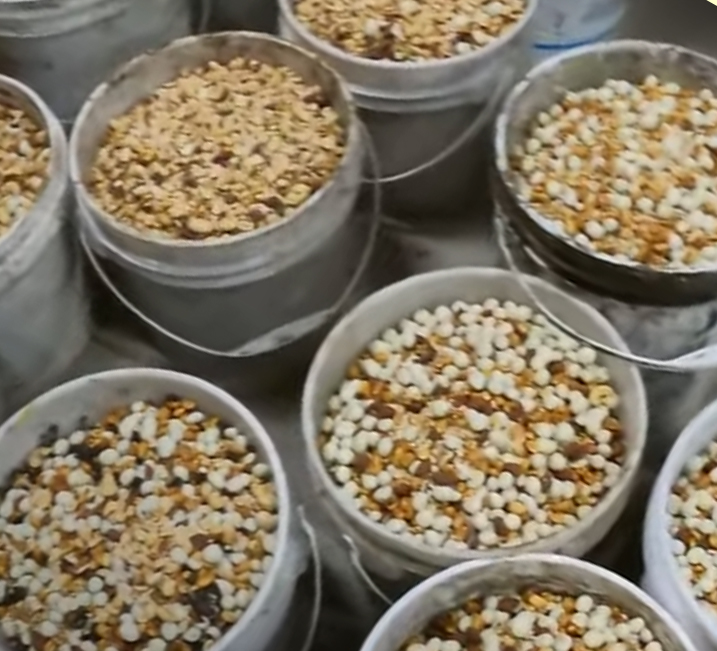 Black bear foraging through scattered food scraps and bait