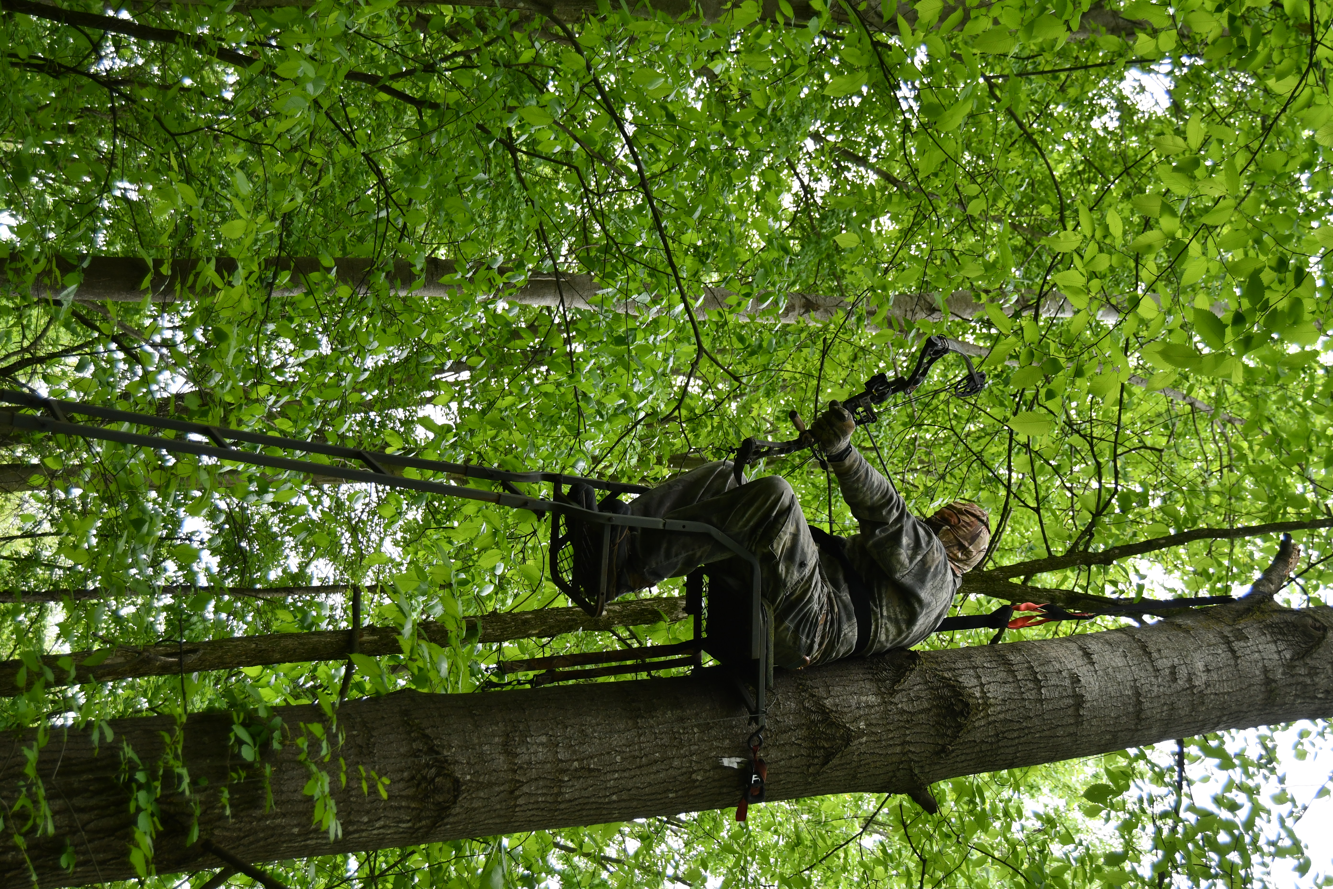 A bowhunter with a compound bow in a treestand at full draw