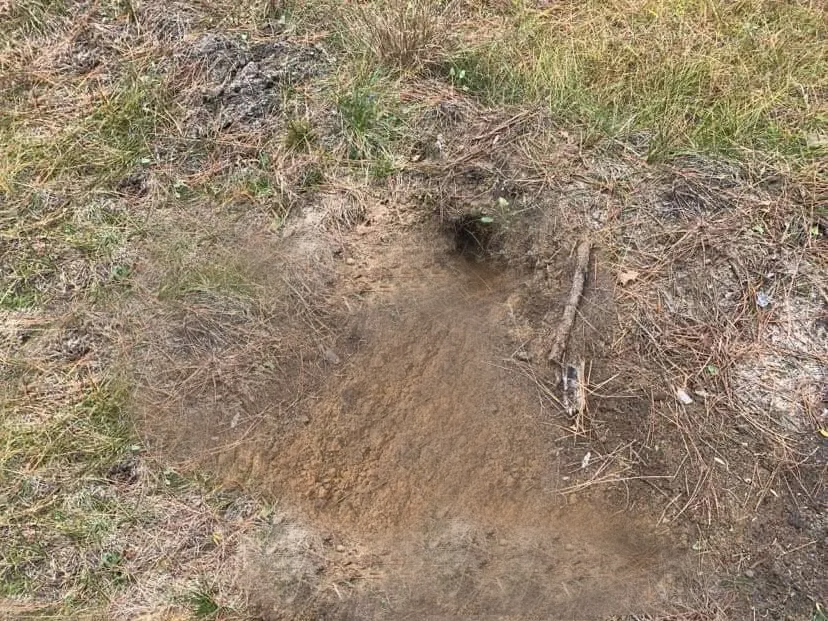 A dirt hole set with only the hole showing