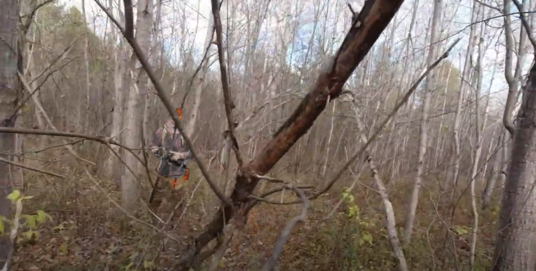 A hunter in dense cover with little hunter orange clothing visible
