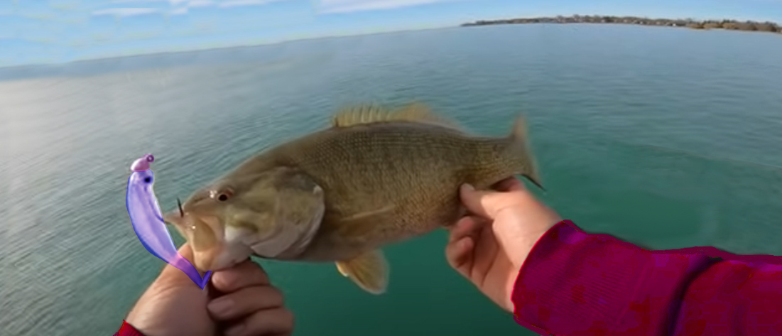 A fisherman holding a Lake St. Clair smallmouth bass in his hands