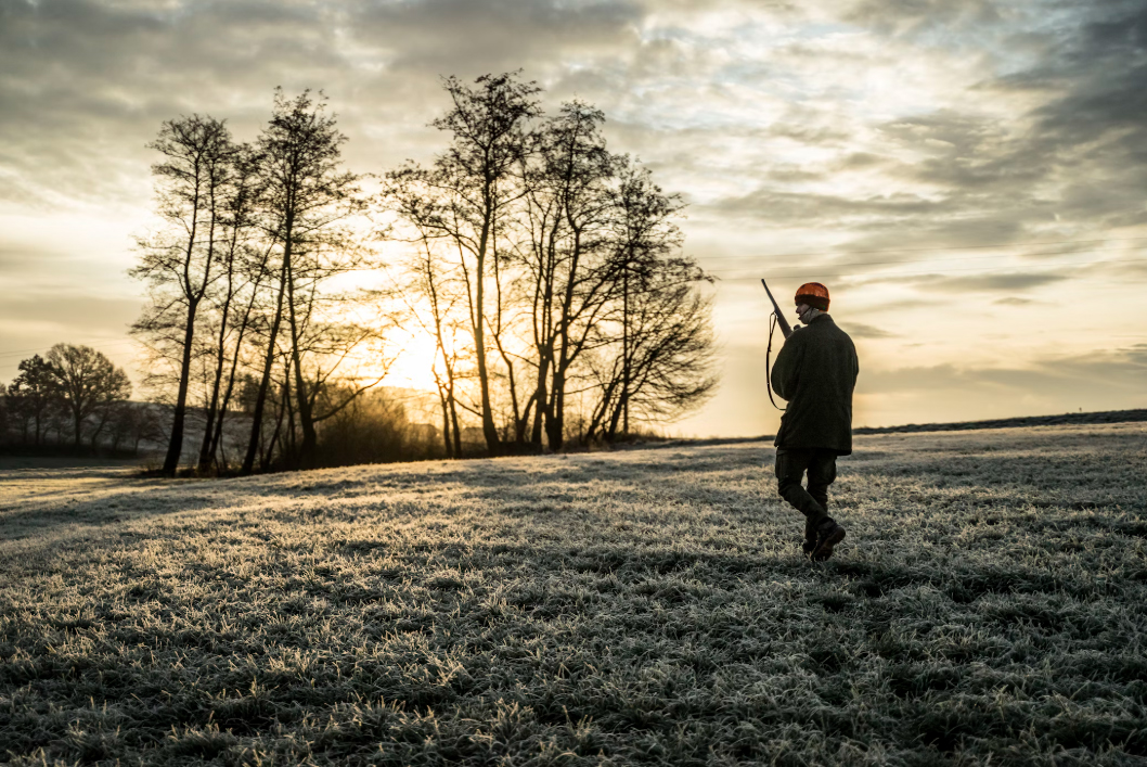 A hunter silhouetted against a sunrise, looking out over a forest with his rifle